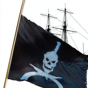 The Dorset Boy Kindle eBook by Amazon Historical Caribbean Adventure-0
